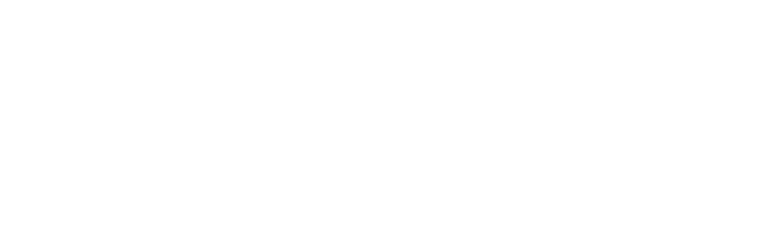 Logo ECLA Negativo Payoff Bianco